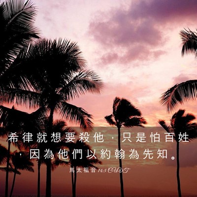 Picture 03 - 馬 太 福 音 14:5 CUVT - 希 律 就 想 要 殺 他 ， 只 是 怕 百 - Bible Verse Picture