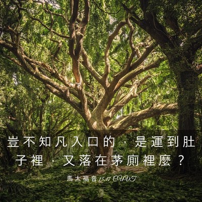 Picture 03 - 馬 太 福 音 15:17 CUVT - 豈 不 知 凡 入 口 的 ， 是 運 到 肚 - Bible Verse Picture