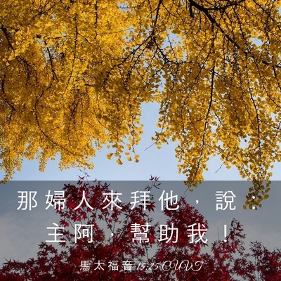 Picture 03 - 馬 太 福 音 15:25 CUVT - 那 婦 人 來 拜 他 ， 說 ： 主 阿 ， - Bible Verse Picture