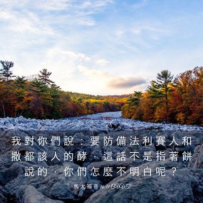 Picture 03 - 馬 太 福 音 16:11 CUVT - 我 對 你 們 說 ： 要 防 備 法 利 賽 - Bible Verse Picture