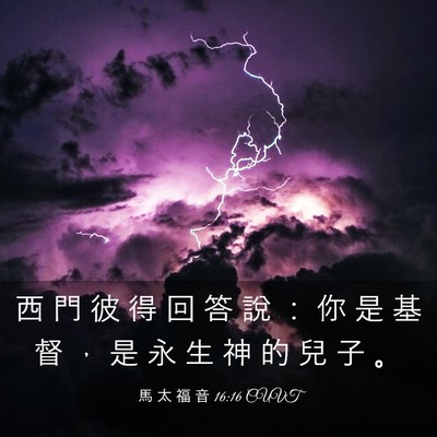 Picture 03 - 馬 太 福 音 16:16 CUVT - 西 門 彼 得 回 答 說 ： 你 是 基 督 - Bible Verse Picture