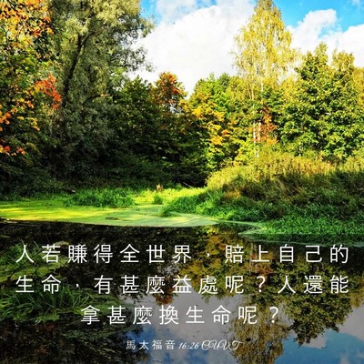 Picture 03 - 馬 太 福 音 16:26 CUVT - 人 若 賺 得 全 世 界 ， 賠 上 自 己 - Bible Verse Picture