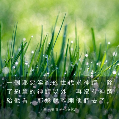 Picture 03 - 馬 太 福 音 16:4 CUVT - 一 個 邪 惡 淫 亂 的 世 代 求 神 蹟 - Bible Verse Picture