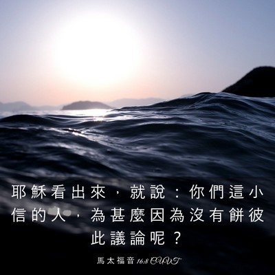 Picture 03 - 馬 太 福 音 16:8 CUVT - 耶 穌 看 出 來 ， 就 說 ： 你 們 這 - Bible Verse Picture