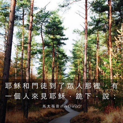 Picture 03 - 馬 太 福 音 17:14 CUVT - 耶 穌 和 門 徒 到 了 眾 人 那 裡 ， - Bible Verse Picture