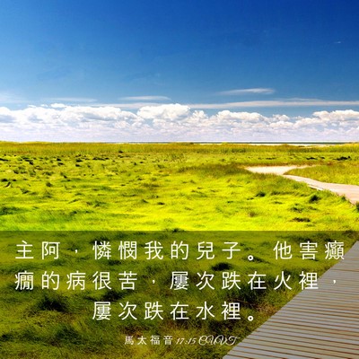 Picture 03 - 馬 太 福 音 17:15 CUVT - 主 阿 ， 憐 憫 我 的 兒 子 。 他 害 - Bible Verse Picture