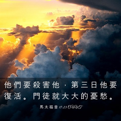 Picture 03 - 馬 太 福 音 17:23 CUVT - 他 們 要 殺 害 他 ， 第 三 日 他 要 - Bible Verse Picture