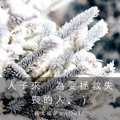 Picture 03 - 馬 太 福 音 18:11 CUVT - 人 子 來 ， 為 要 拯 救 失 喪 的 人 - Bible Verse Picture