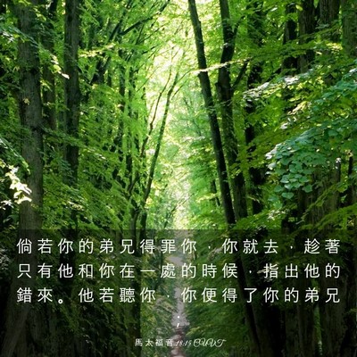 Picture 03 - 馬 太 福 音 18:15 CUVT - 倘 若 你 的 弟 兄 得 罪 你 ， 你 就 - Bible Verse Picture