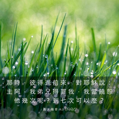 Picture 03 - 馬 太 福 音 18:21 CUVT - 那 時 ， 彼 得 進 前 來 ， 對 耶 穌 - Bible Verse Picture