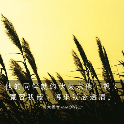 Picture 03 - 馬 太 福 音 18:29 CUVT - 他 的 同 伴 就 俯 伏 央 求 他 ， 說 - Bible Verse Picture