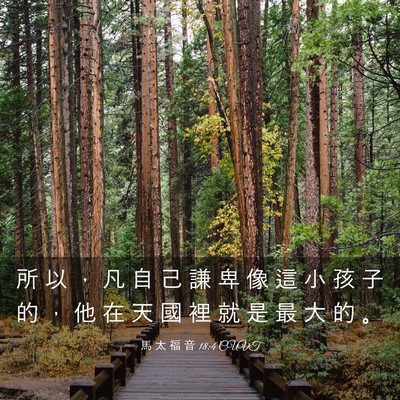 Picture 03 - 馬 太 福 音 18:4 CUVT - 所 以 ， 凡 自 己 謙 卑 像 這 小 孩 - Bible Verse Picture