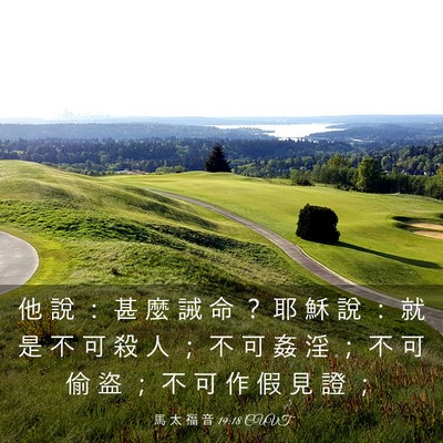 Picture 03 - 馬 太 福 音 19:18 CUVT - 他 說 ： 甚 麼 誡 命 ？ 耶 穌 說 ： - Bible Verse Picture