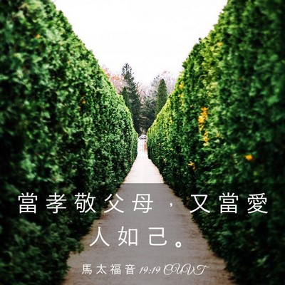 Picture 03 - 馬 太 福 音 19:19 CUVT - 當 孝 敬 父 母 ， 又 當 愛 人 如 己 - Bible Verse Picture