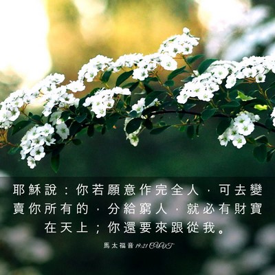Picture 03 - 馬 太 福 音 19:21 CUVT - 耶 穌 說 ： 你 若 願 意 作 完 全 人 - Bible Verse Picture