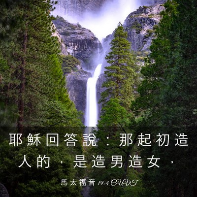 Picture 03 - 馬 太 福 音 19:4 CUVT - 耶 穌 回 答 說 ： 那 起 初 造 人 的 - Bible Verse Picture