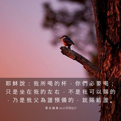 Picture 03 - 馬 太 福 音 20:23 CUVT - 耶 穌 說 ： 我 所 喝 的 杯 ， 你 們 - Bible Verse Picture
