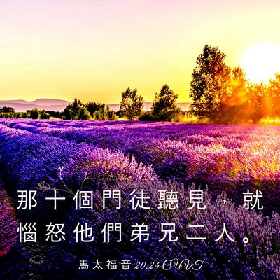 Picture 03 - 馬 太 福 音 20:24 CUVT - 那 十 個 門 徒 聽 見 ， 就 惱 怒 他 - Bible Verse Picture