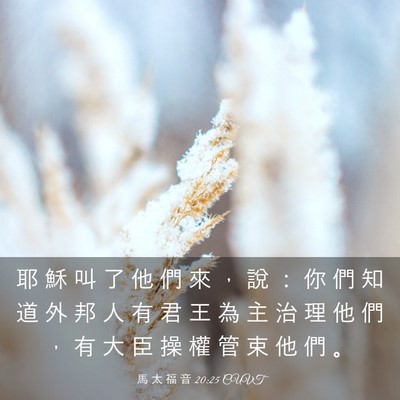 Picture 03 - 馬 太 福 音 20:25 CUVT - 耶 穌 叫 了 他 們 來 ， 說 ： 你 們 - Bible Verse Picture