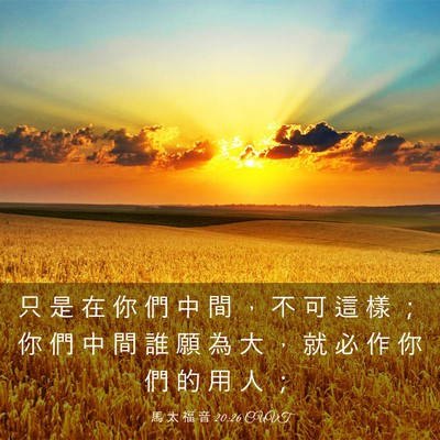 Picture 03 - 馬 太 福 音 20:26 CUVT - 只 是 在 你 們 中 間 ， 不 可 這 樣 - Bible Verse Picture