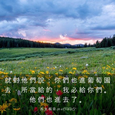 Picture 03 - 馬 太 福 音 20:4 CUVT - 就 對 他 們 說 ： 你 們 也 進 葡 萄 - Bible Verse Picture