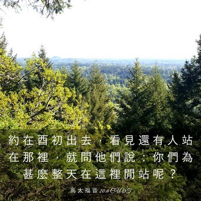 Picture 03 - 馬 太 福 音 20:6 CUVT - 約 在 酉 初 出 去 ， 看 見 還 有 人 - Bible Verse Picture