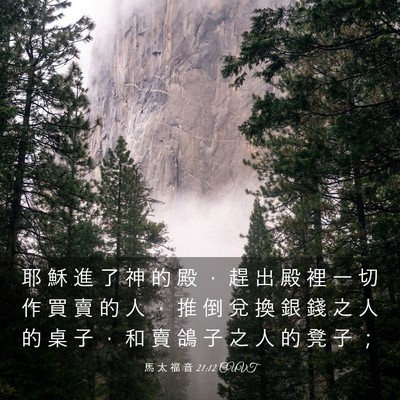 Picture 03 - 馬 太 福 音 21:12 CUVT - 耶 穌 進 了 神 的 殿 ， 趕 出 殿 裡 - Bible Verse Picture
