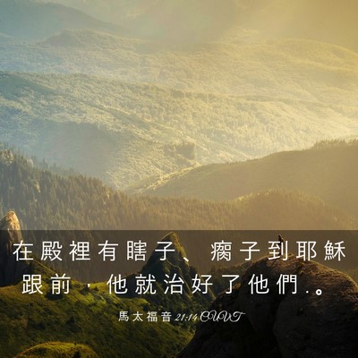 Picture 03 - 馬 太 福 音 21:14 CUVT - 在 殿 裡 有 瞎 子 、 瘸 子 到 耶 穌 - Bible Verse Picture