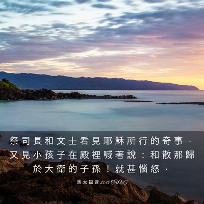 Picture 03 - 馬 太 福 音 21:15 CUVT - 祭 司 長 和 文 士 看 見 耶 穌 所 行 - Bible Verse Picture