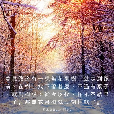 Picture 03 - 馬 太 福 音 21:19 CUVT - 看 見 路 旁 有 一 棵 無 花 果 樹 ， - Bible Verse Picture