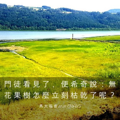 Picture 03 - 馬 太 福 音 21:20 CUVT - 門 徒 看 見 了 ﹐ 便 希 奇 說 ： 無 - Bible Verse Picture