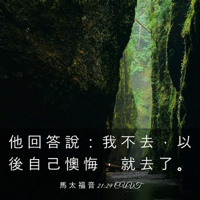 Picture 03 - 馬 太 福 音 21:29 CUVT - 他 回 答 說 ： 我 不 去 ， 以 後 自 - Bible Verse Picture