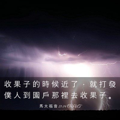 Picture 03 - 馬 太 福 音 21:34 CUVT - 收 果 子 的 時 候 近 了 ， 就 打 發 - Bible Verse Picture