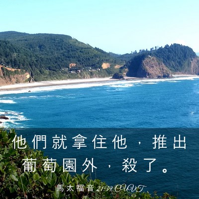 Picture 03 - 馬 太 福 音 21:39 CUVT - 他 們 就 拿 住 他 ， 推 出 葡 萄 園 - Bible Verse Picture