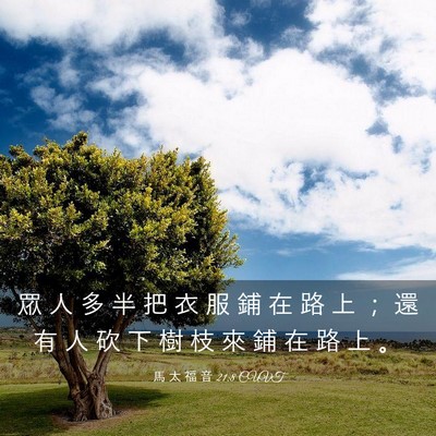 Picture 03 - 馬 太 福 音 21:8 CUVT - 眾 人 多 半 把 衣 服 鋪 在 路 上 ； - Bible Verse Picture