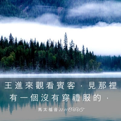 Picture 03 - 馬 太 福 音 22:11 CUVT - 王 進 來 觀 看 賓 客 ， 見 那 裡 有 - Bible Verse Picture