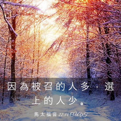 Picture 03 - 馬 太 福 音 22:14 CUVT - 因 為 被 召 的 人 多 ， 選 上 的 人 - Bible Verse Picture