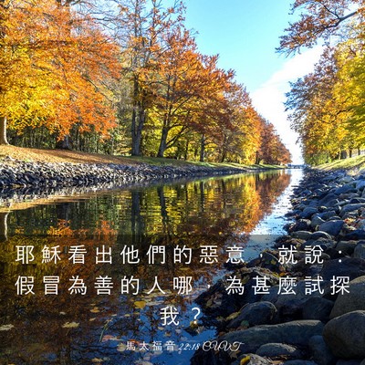 Picture 03 - 馬 太 福 音 22:18 CUVT - 耶 穌 看 出 他 們 的 惡 意 ， 就 說 - Bible Verse Picture