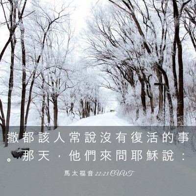 Picture 03 - 馬 太 福 音 22:23 CUVT - 撒 都 該 人 常 說 沒 有 復 活 的 事 - Bible Verse Picture