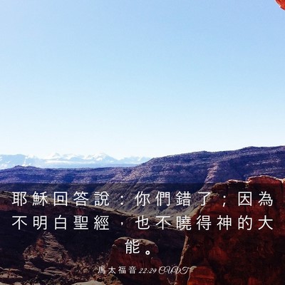 Picture 03 - 馬 太 福 音 22:29 CUVT - 耶 穌 回 答 說 ： 你 們 錯 了 ； 因 - Bible Verse Picture