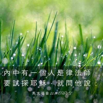Picture 03 - 馬 太 福 音 22:35 CUVT - 內 中 有 一 個 人 是 律 法 師 ， 要 - Bible Verse Picture
