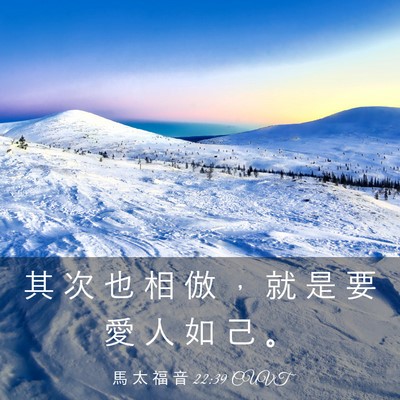 Picture 03 - 馬 太 福 音 22:39 CUVT - 其 次 也 相 倣 ， 就 是 要 愛 人 如 - Bible Verse Picture