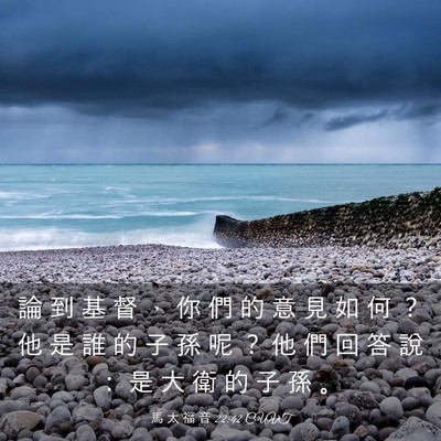 Picture 03 - 馬 太 福 音 22:42 CUVT - 論 到 基 督 ， 你 們 的 意 見 如 何 - Bible Verse Picture