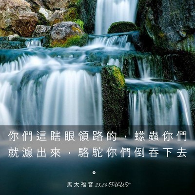 Picture 03 - 馬 太 福 音 23:24 CUVT - 你 們 這 瞎 眼 領 路 的 ， 蠓 蟲 你 - Bible Verse Picture