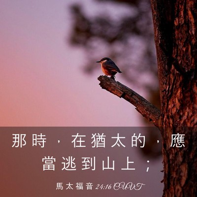 Picture 03 - 馬 太 福 音 24:16 CUVT - 那 時 ， 在 猶 太 的 ， 應 當 逃 到 - Bible Verse Picture
