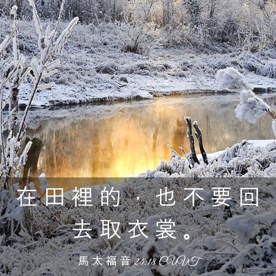 Picture 03 - 馬 太 福 音 24:18 CUVT - 在 田 裡 的 ， 也 不 要 回 去 取 衣 - Bible Verse Picture