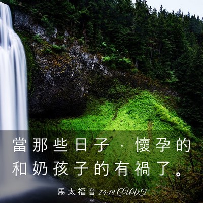 Picture 03 - 馬 太 福 音 24:19 CUVT - 當 那 些 日 子 ， 懷 孕 的 和 奶 孩 - Bible Verse Picture