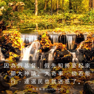 Picture 03 - 馬 太 福 音 24:24 CUVT - 因 為 假 基 督 、 假 先 知 將 要 起 - Bible Verse Picture