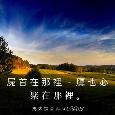 Picture 03 - 馬 太 福 音 24:28 CUVT - 屍 首 在 那 裡 ， 鷹 也 必 聚 在 那 - Bible Verse Picture