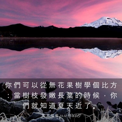 Picture 03 - 馬 太 福 音 24:32 CUVT - 你 們 可 以 從 無 花 果 樹 學 個 比 - Bible Verse Picture